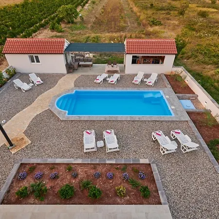 Liberty * 察夫塔特